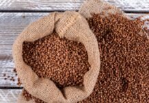 Под видом казахской в Украину могут завозить российскую гречку, — эксперт