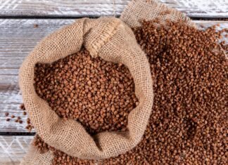 Под видом казахской в Украину могут завозить российскую гречку, — эксперт