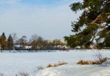 До мінус 21º вночі: коли на Чернігівщині знову вдарять морози