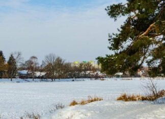 До мінус 21º вночі: коли на Чернігівщині знову вдарять морози