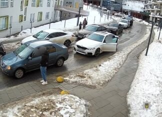 Скандал во Львове: водитель нецензурно ругался во время минуты молчания (видео)