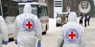 Можуть належати українським захисникам: в Україну повернули ще тисячу тіл загиблих