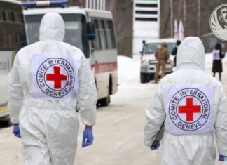 Можуть належати українським захисникам: в Україну повернули ще тисячу тіл загиблих