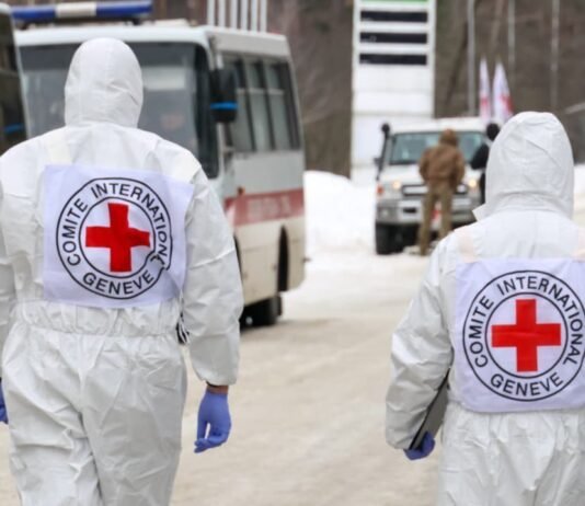 Можуть належати українським захисникам: в Україну повернули ще тисячу тіл загиблих