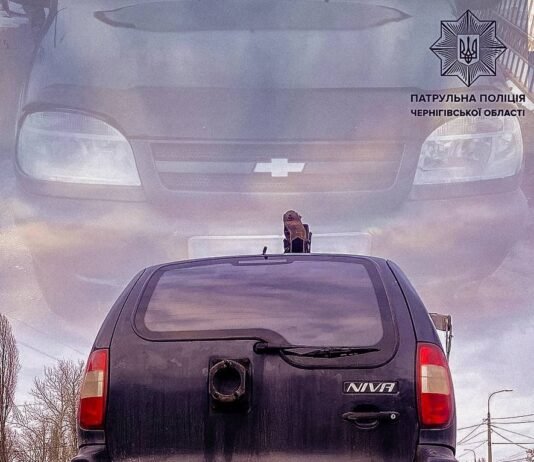 Їздив Черніговом під кайфом: у водія виявили наркотики