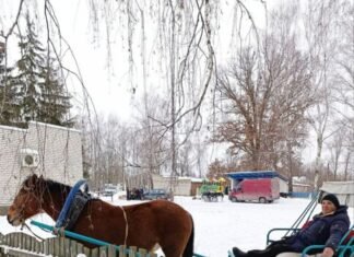 Незвичний вид гужового транспорту використовують у селі на Чернігівщині (Фото)