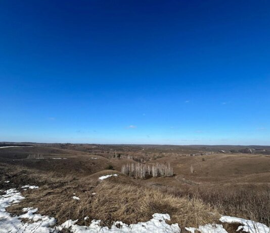В Україні 10 березня очікується суха та сонячна погода завдяки впливу антициклону — синоптикиня