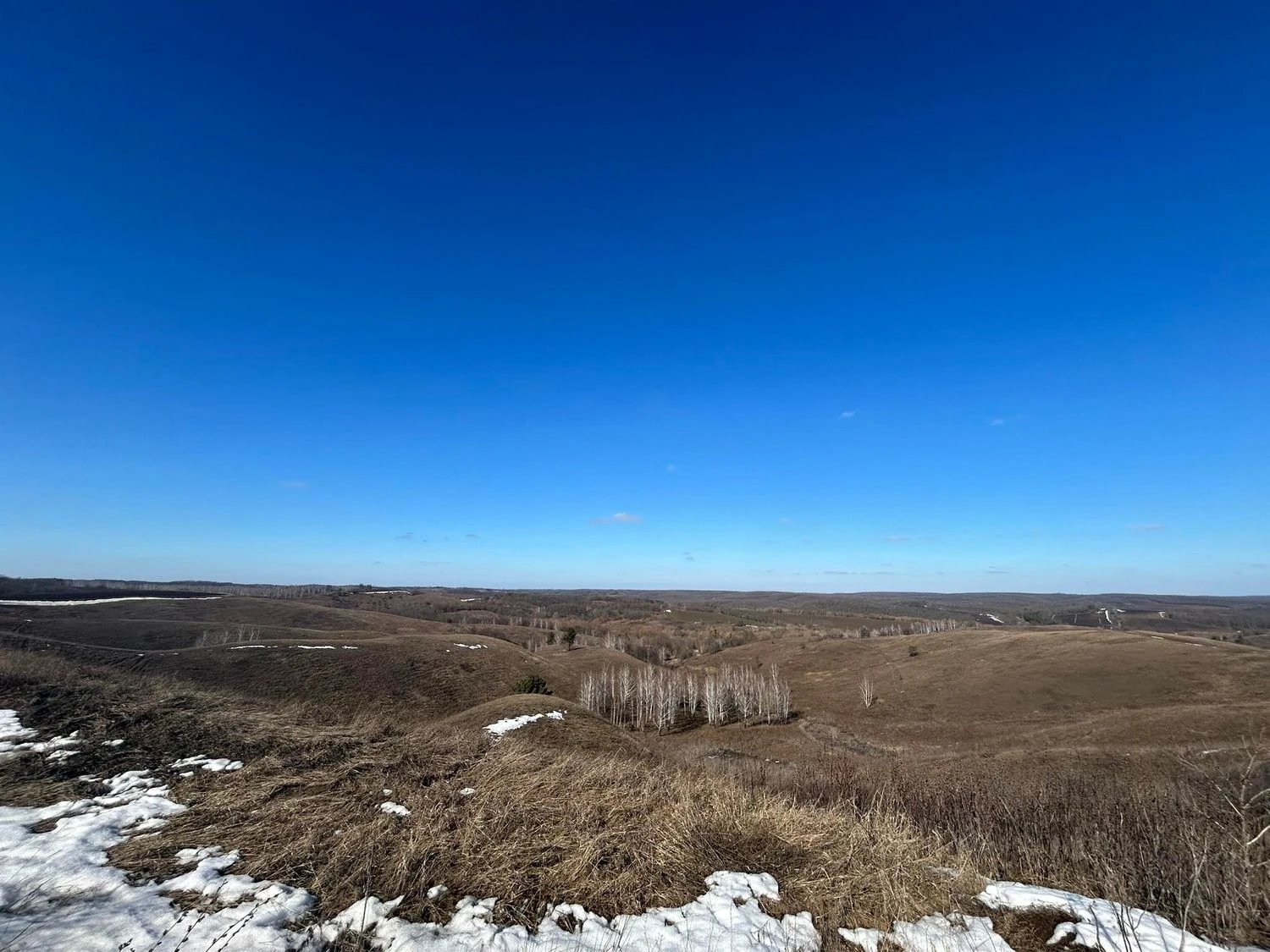 В Україні 10 березня очікується суха та сонячна погода завдяки впливу антициклону — синоптикиня