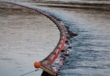 Молдова просить допомоги ЄС через масштабний розлив палива у Дністрі