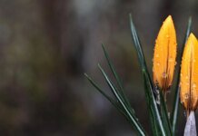 В Україну йде похолодання з опадами та зниженням температури до +5 градусів