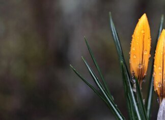 В Україну йде похолодання з опадами та зниженням температури до +5 градусів