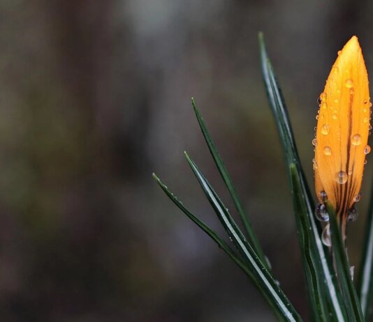 В Україну йде похолодання з опадами та зниженням температури до +5 градусів