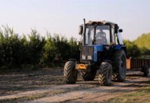 Українські фермери отримають 124 мільйони гривень на розвиток виробництва — Кабмін