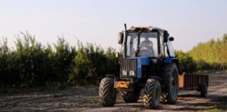 Українські фермери отримають 124 мільйони гривень на розвиток виробництва — Кабмін