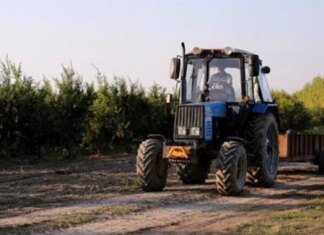 Українські фермери отримають 124 мільйони гривень на розвиток виробництва — Кабмін