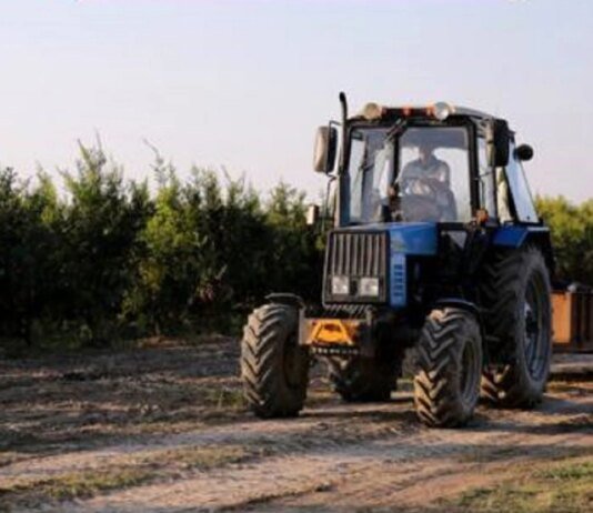 Українські фермери отримають 124 мільйони гривень на розвиток виробництва — Кабмін