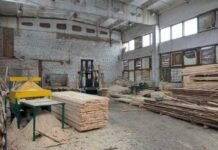 Понад 290 кубометрів деревини незаконно вивезли за кордон: на Чернігівщині перекрили канал контрабанди