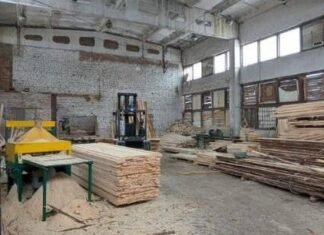 Понад 290 кубометрів деревини незаконно вивезли за кордон: на Чернігівщині перекрили канал контрабанди