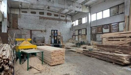 Понад 290 кубометрів деревини незаконно вивезли за кордон: на Чернігівщині перекрили канал контрабанди