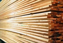 На Чернігівщині директор лісгоспу продавав деревину за заниженими цінами: державі завдано понад 370 тис грн збитків