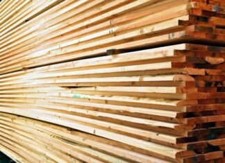 На Чернігівщині директор лісгоспу продавав деревину за заниженими цінами: державі завдано понад 370 тис грн збитків