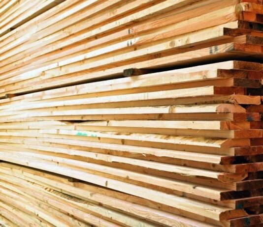 На Чернігівщині директор лісгоспу продавав деревину за заниженими цінами: державі завдано понад 370 тис грн збитків