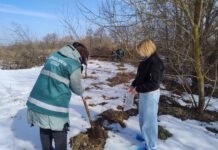 На Чернігівщині виявлено забруднення ґрунтів через витік каналізаційних стоків