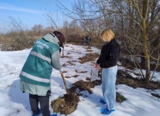 На Чернігівщині виявлено забруднення ґрунтів через витік каналізаційних стоків