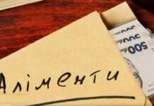 Не платив аліменти – втратив землю: на Чернігівщині дитині виплатили понад 160 тисяч гривень