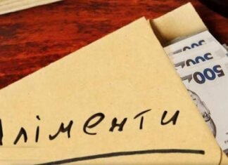 Не платив аліменти – втратив землю: на Чернігівщині дитині виплатили понад 160 тисяч гривень