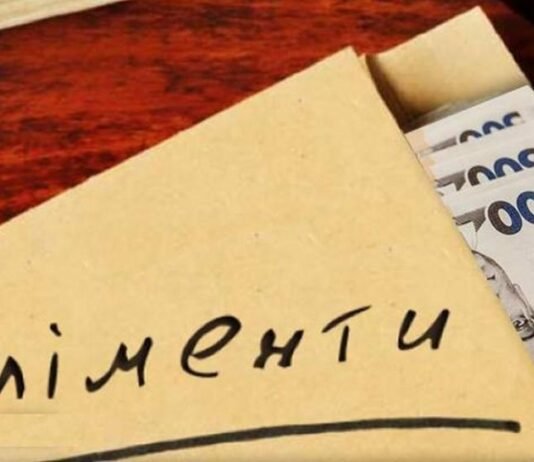 Не платив аліменти – втратив землю: на Чернігівщині дитині виплатили понад 160 тисяч гривень