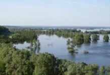 Через підйом води у Десні на Чернігівщині може затопити заплави та дороги