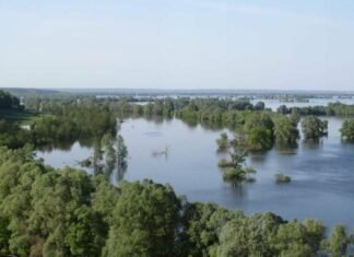 Через підйом води у Десні на Чернігівщині може затопити заплави та дороги