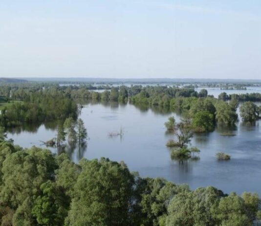 Через підйом води у Десні на Чернігівщині може затопити заплави та дороги