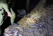 На Десні в Чернігівській області спіймали браконьєра: вилучено понад 18 кг риби та раків