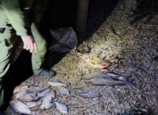 На Десні в Чернігівській області спіймали браконьєра: вилучено понад 18 кг риби та раків