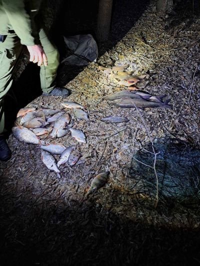 На Десні в Чернігівській області спіймали браконьєра: вилучено понад 18 кг риби та раків