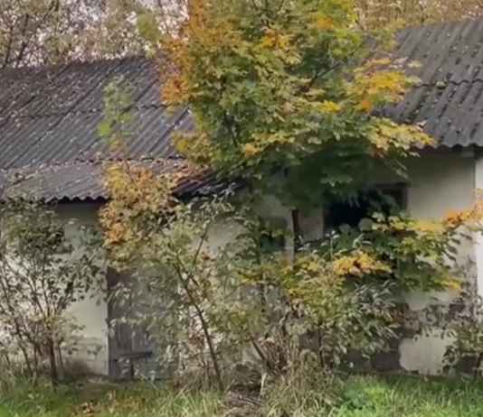 Женщина купила дом в селе, а потом снесла его бульдозером (фото)