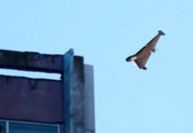 Украинцы будут помогать странам Персидского залива сбивать иранские беспилотники, — Стармер (видео)