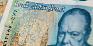 На фунтах стерлингов вместо исторических фигур появятся животные