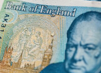 На фунтах стерлингов вместо исторических фигур появятся животные