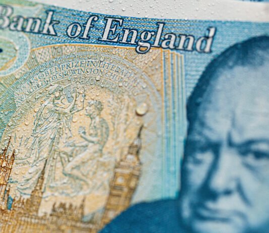 На фунтах стерлингов вместо исторических фигур появятся животные