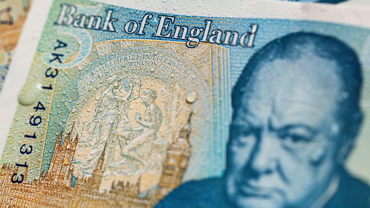 На фунтах стерлингов вместо исторических фигур появятся животные