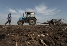 Небанковские финучреждения будут выдавать кредиты фермерам под гарантии государства – список