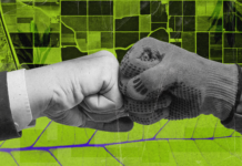 Финансирование для агросектора. Как украинским компаниям получить инвестиции от фонда Food4Impact