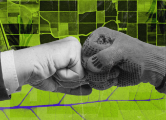 Финансирование для агросектора. Как украинским компаниям получить инвестиции от фонда Food4Impact