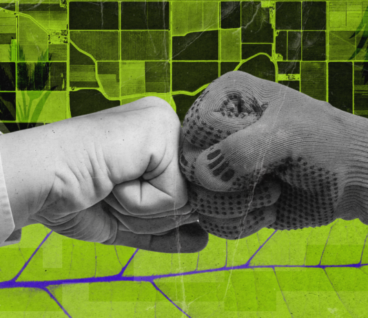 Финансирование для агросектора. Как украинским компаниям получить инвестиции от фонда Food4Impact