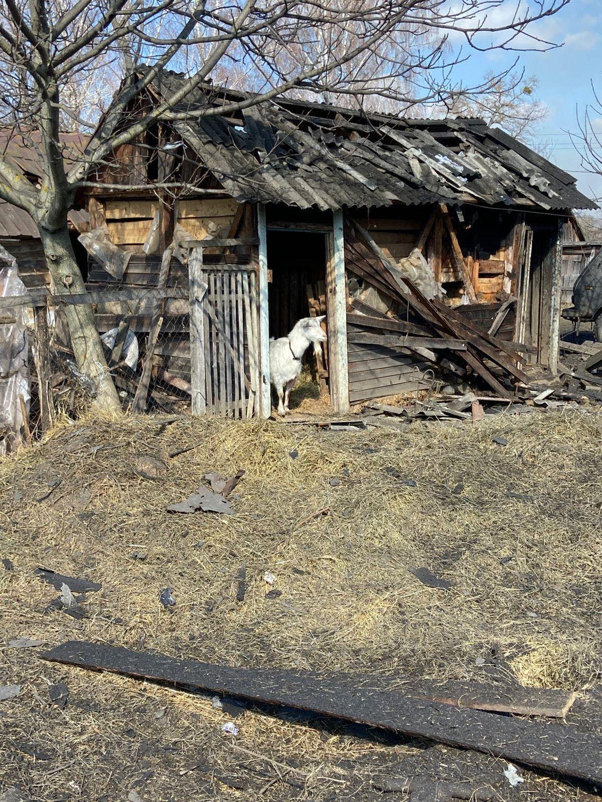 Російські «Герані» та FPV-дрони атакували Чернігівщину: пошкоджено будинки та автомобілі