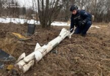 На Чернігівщині знайшли уламки російських ракет та дронів