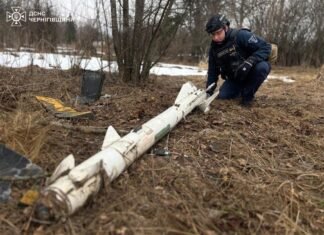 На Чернігівщині знайшли уламки російських ракет та дронів